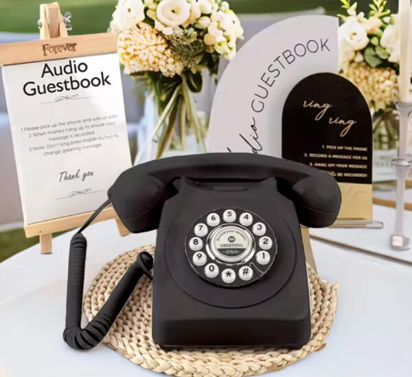 Audio Book - Image 4